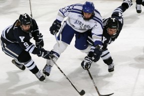 球队阵容调整最新报道，球队球员名单